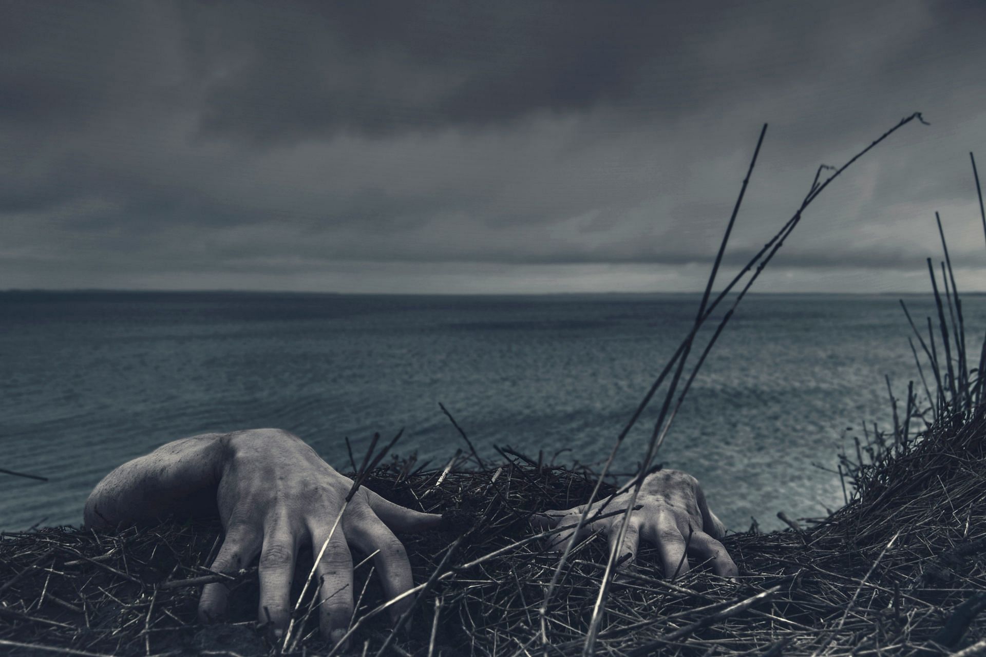 Misty's body was found in the river, tied and decomposed (Image by Daniel Jensen/Unsplash)